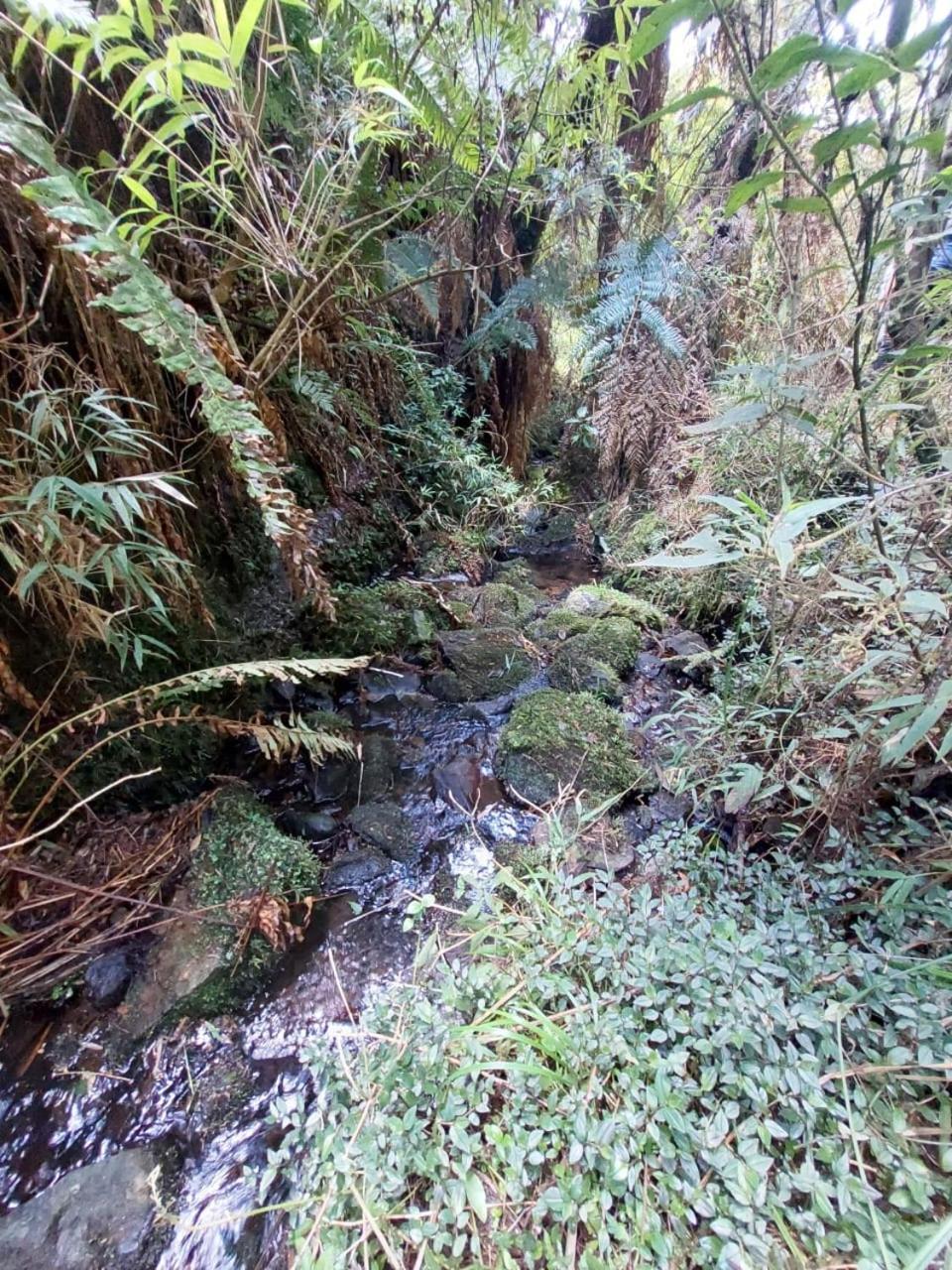Vale Das Aguas Cambara do Sul Exterior photo